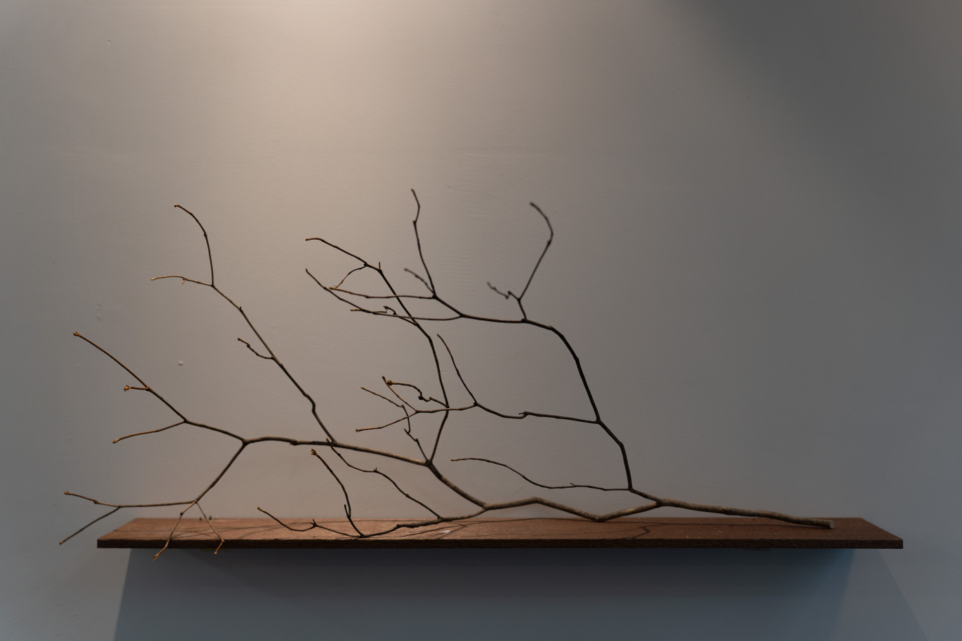 청석골 60PY 사진 - 13